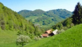 Bargain Celje farm €125,000 +18 acres+building plo. Click here for more details. Bargain Celje farm €125,000 +18 acres+building plo. Click here for more details.